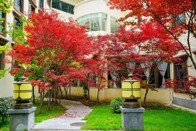 五一节四川温泉旅游攻略,四川周末去哪泡温泉