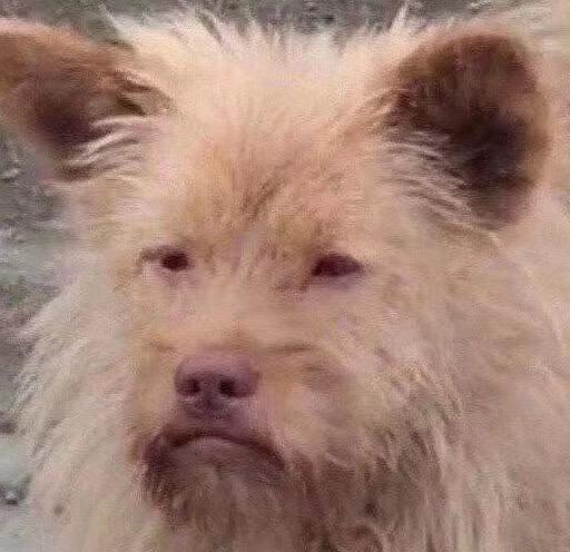 广州恒大“奶奶风”巨土宣传片，看完我裂开了！