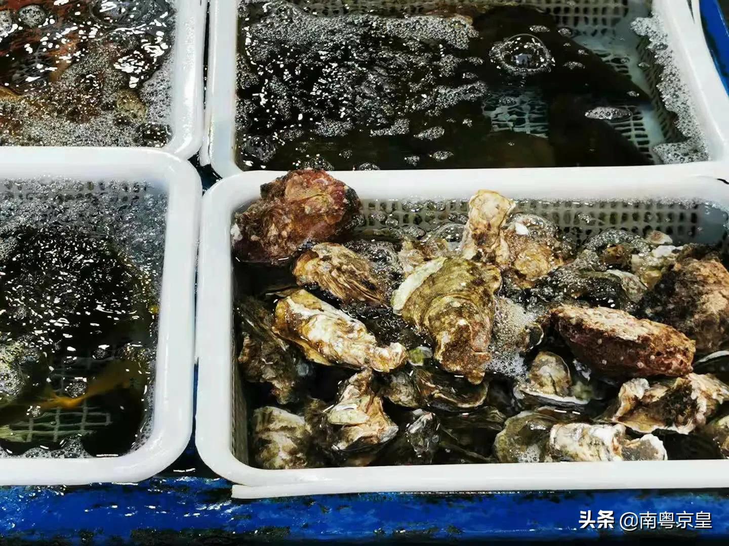 东澳岛海鲜旅游攻略,东澳岛最值得去的地方