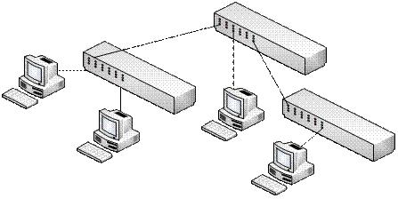网络专业例文（学生宿舍局域网建设）