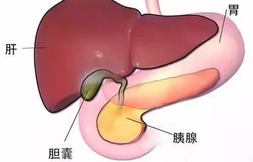 经常有呕吐的现象是怎么回事,时常呕吐一般是什么原因