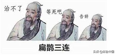 神剧《大宅门》，讲述了北京同仁堂的故事，也预言了当今的流行词