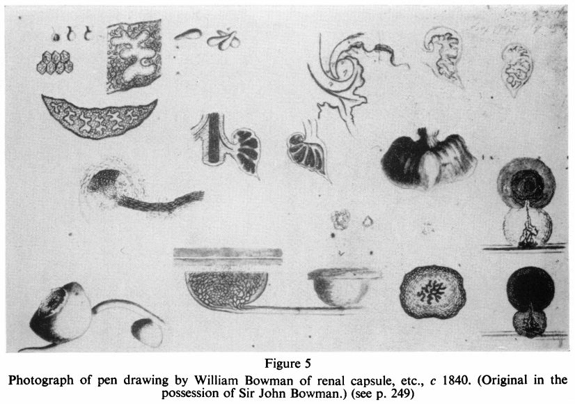 25岁就把发现写进教科书的Sir
