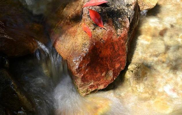 十一假期丽水旅游攻略,缙云旅游攻略二天一夜