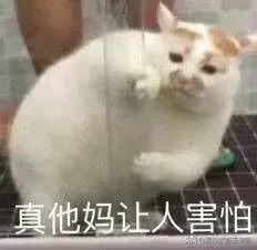 耐克后来怎么样了,耐克平价倒闭款