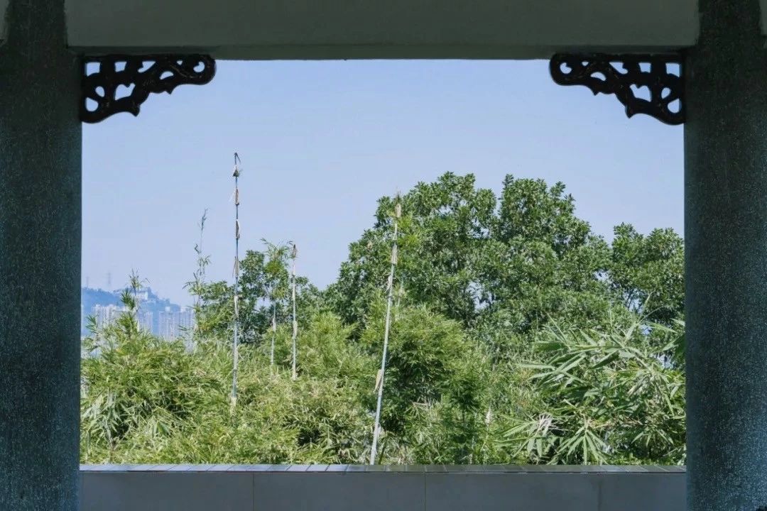 深圳游玩最佳地点排行榜前十名,深圳适合小孩游玩最佳地方推荐