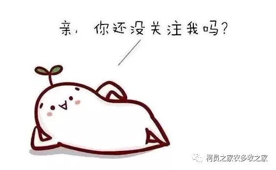 如果没有“补贴”该怎么办呢？做“加、减法”？等农业信息汇总