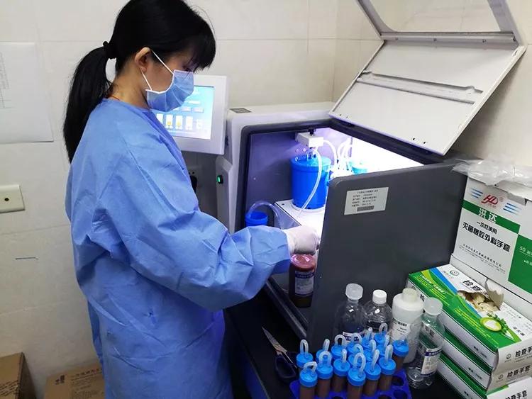 “吃屎”吗？能治病