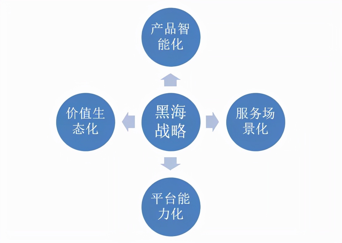 黑海战略的战略本质是什么,黑海重要的战略位置