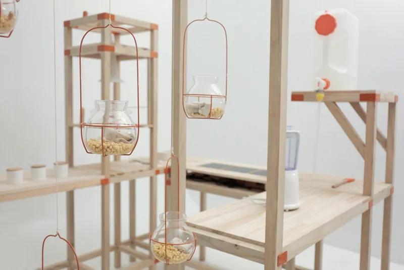 食物设计案例,健康饮食的设计意图