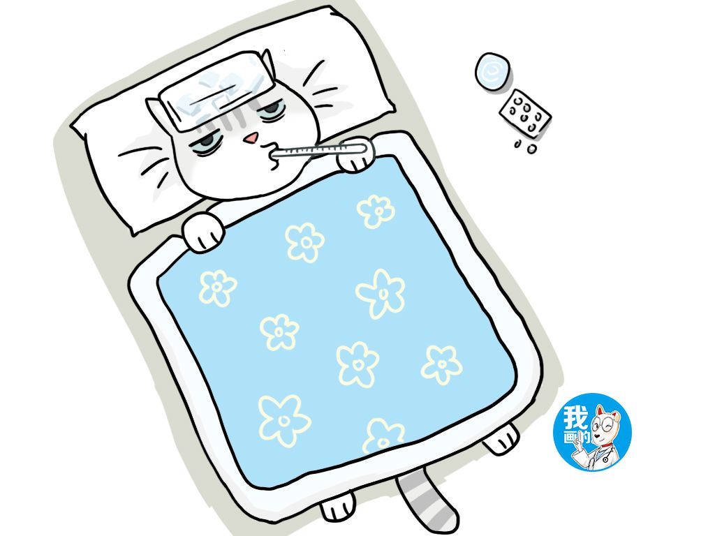 猫咪出现呕吐猫粮怎么办,猫咪如果出现呕吐症状该怎么办