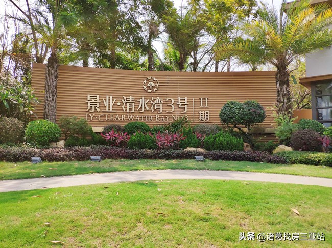 清水湾房地产优势,清水湾从哪里开始止于哪里