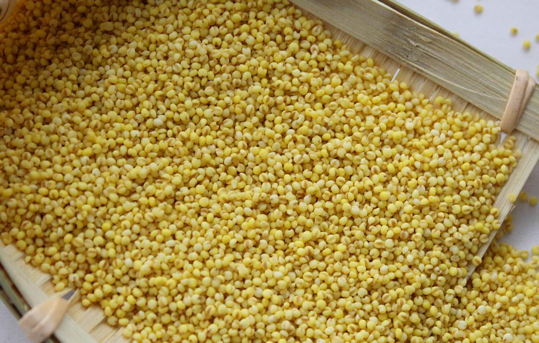 黄小米适合哪类人吃,黄小米的功效有祛湿作用吗