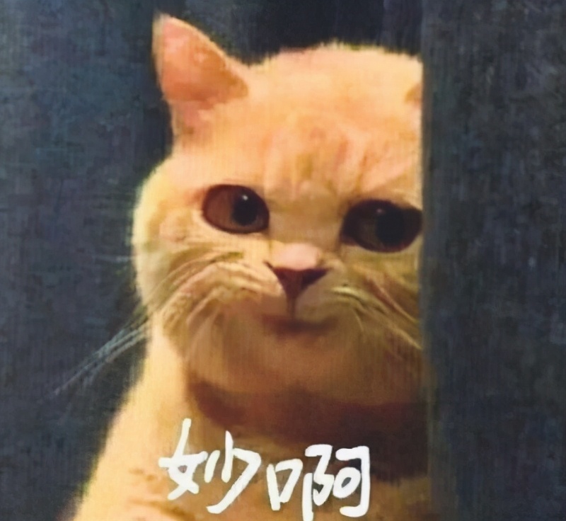 二手笔记本和新款笔记本如何选,二手笔记本电脑推荐哪里购买