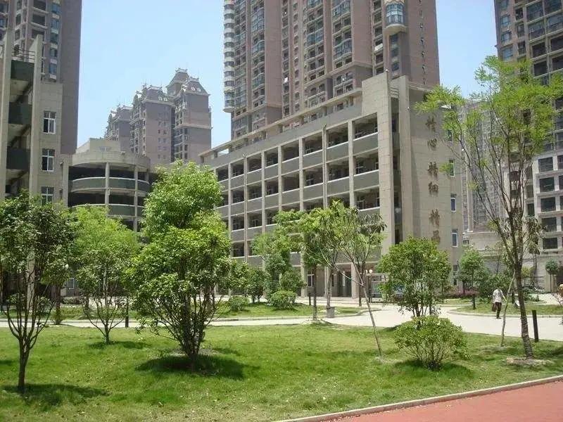 家长挤破头想进的17所民校,家长挤破头进公办园