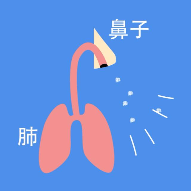 挖鼻孔会把鼻孔撑大？当心挖出这些病