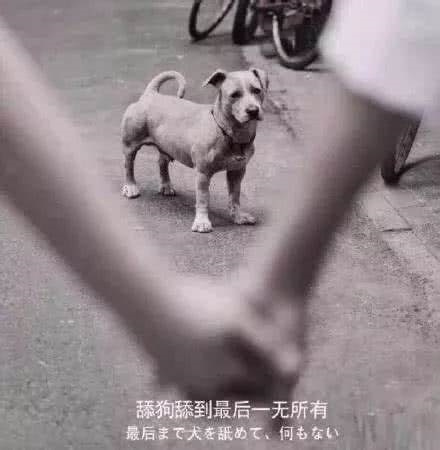 心理学好感存在四个月,爱情心理学效应有哪些