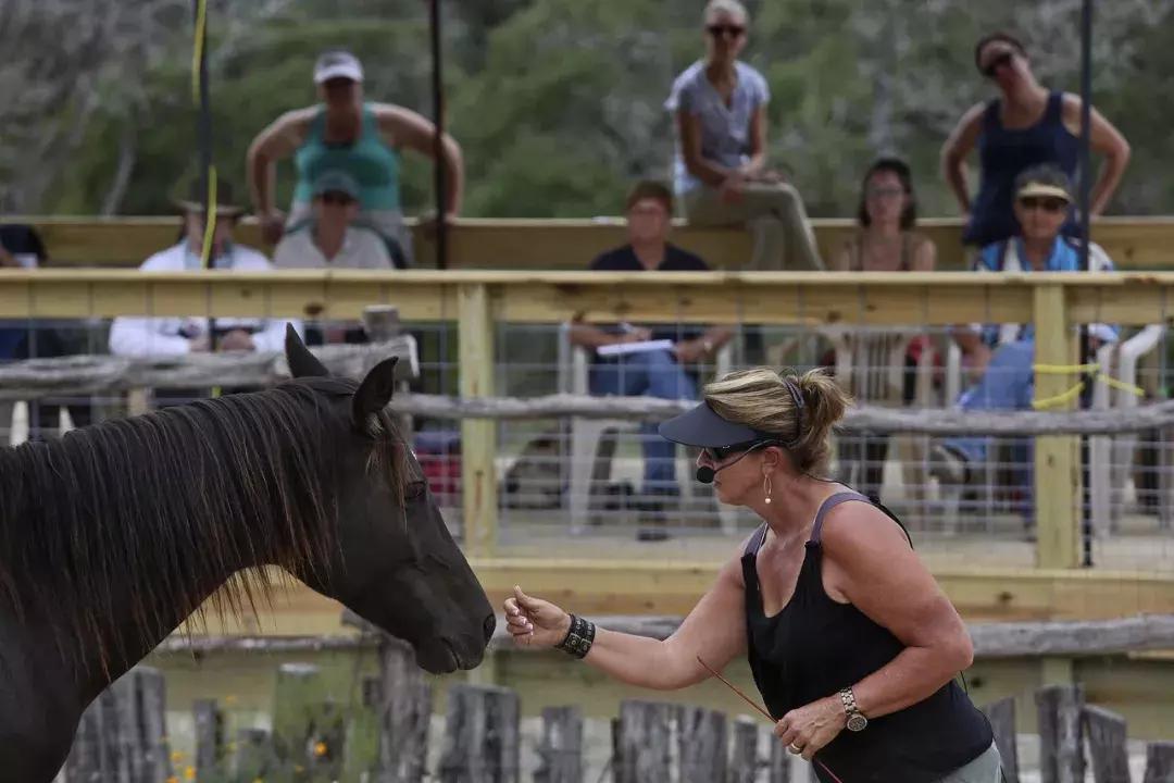 三分钟一字马教程,两小时驯马的全过程