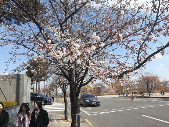 韩国和哪个国家说一样的话,韩国和我们现在的关系