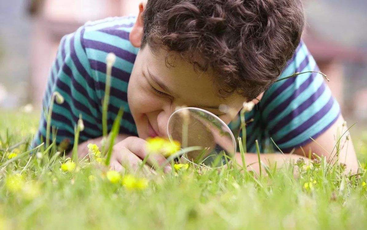 如何提高孩子学习意志力,我的孩子胆小懦弱怎么开导