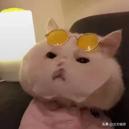 运动会让皮肤更好吗,运动会让人精神百倍皮肤变好