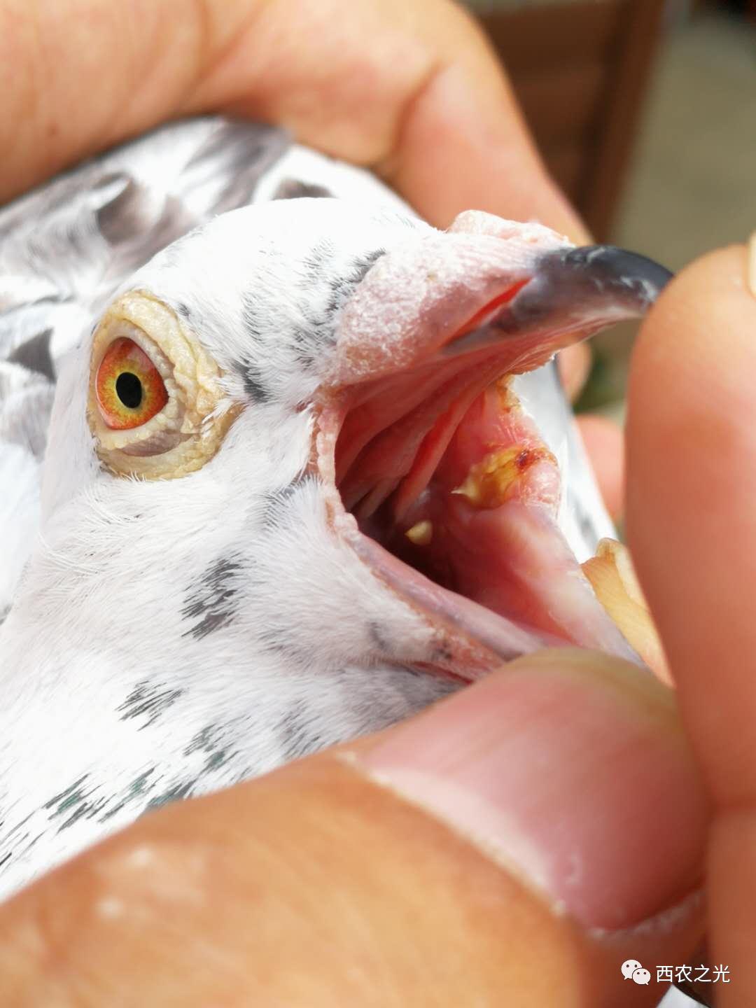 一周表现反馈表,一周典型经典案例分析