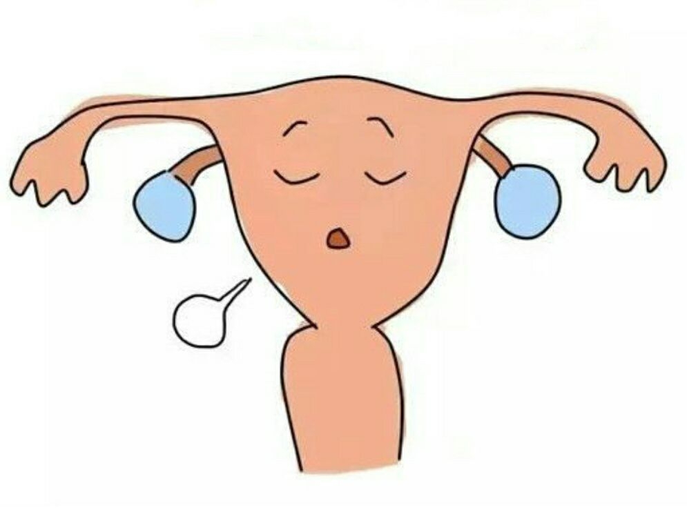 子宫内膜厚度会影响孕囊位置吗,子宫内膜厚度薄是什么原因