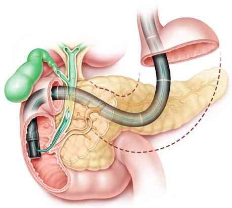 医生不会告诉你的男生的秘密,医生不会告诉你的秘密妇科