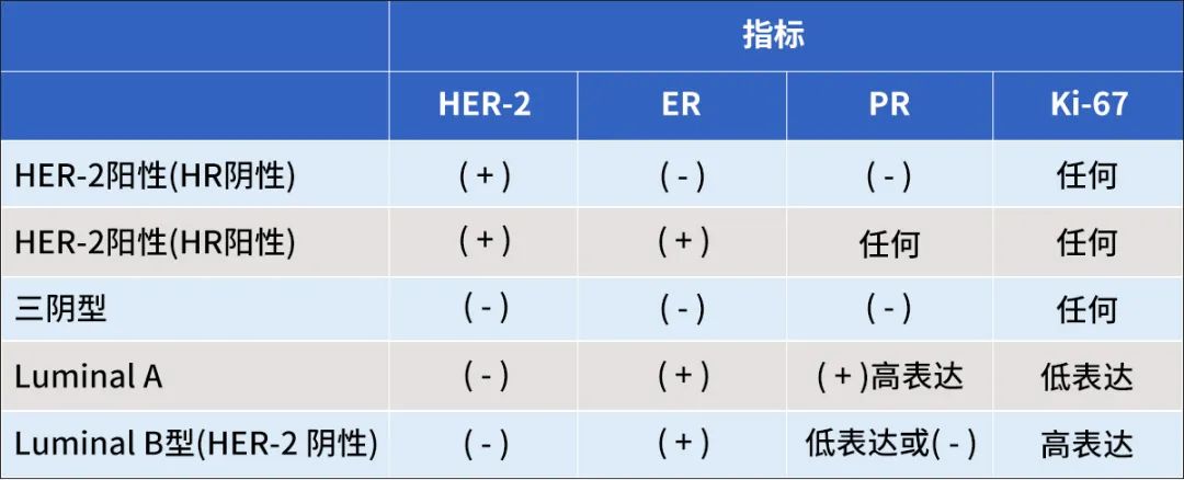 her2阳性乳腺癌单靶好还是双靶好,her-2阳性乳腺癌化疗日记