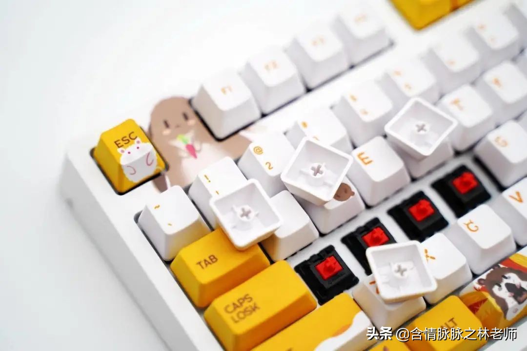 可爱的送给女孩子治愈的礼物,治愈系礼物送女友