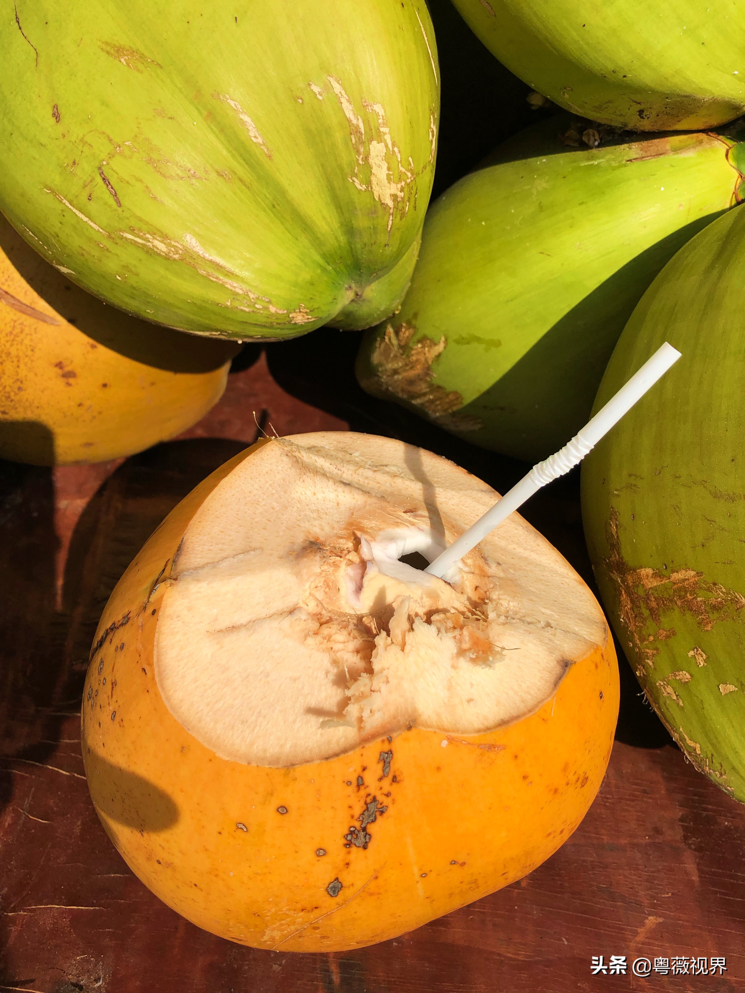 海南岛文昌自驾游攻略,海南文昌椰林湾自驾游攻略