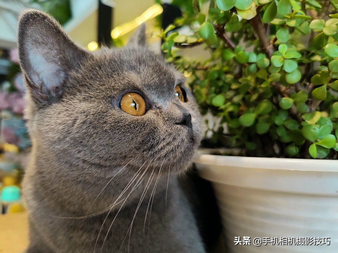 玩摄影必须要知道的知识,玩摄影入门技巧