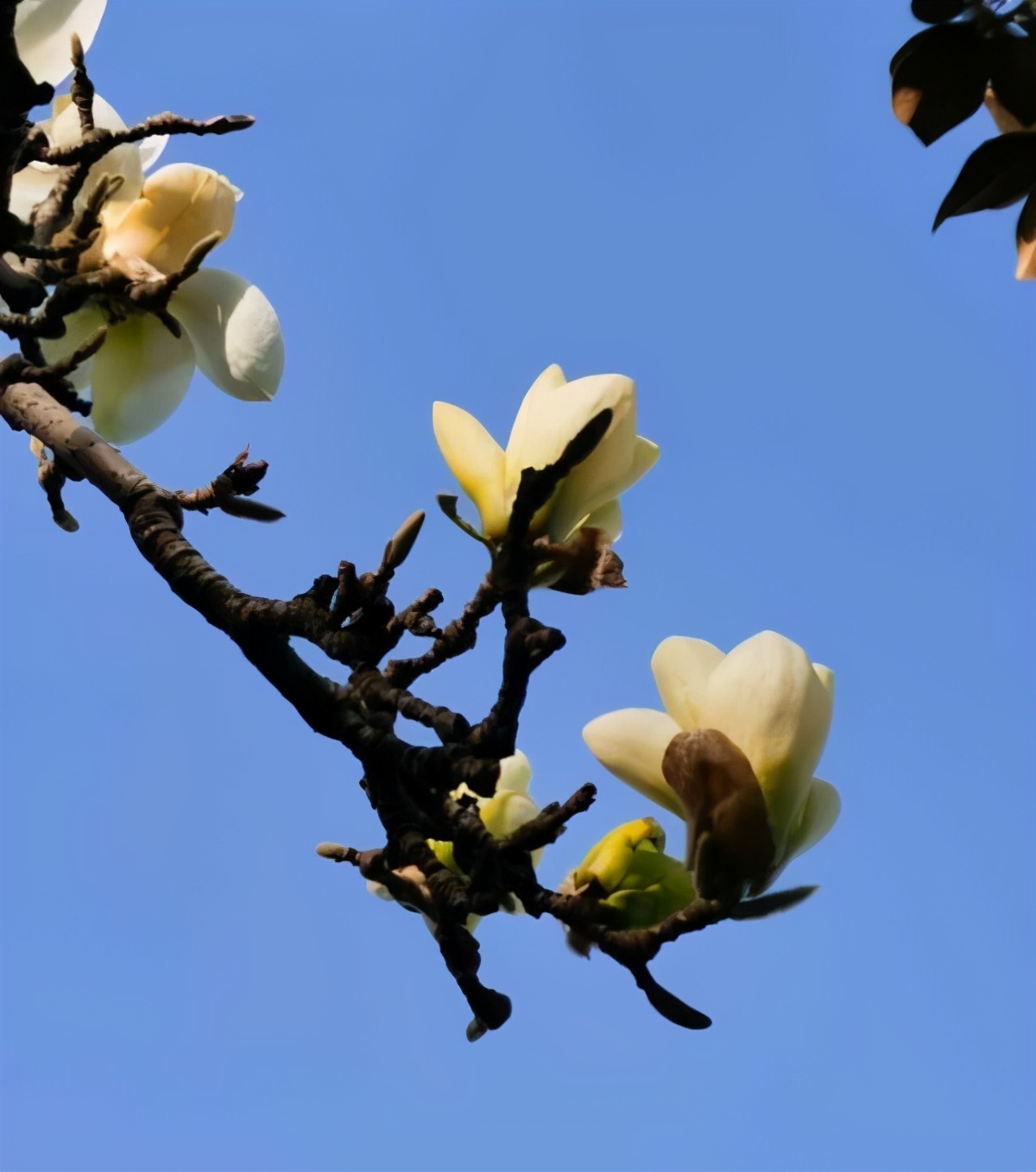 潇洒的奶奶是怎么来的,洒脱的老奶奶舞蹈视频