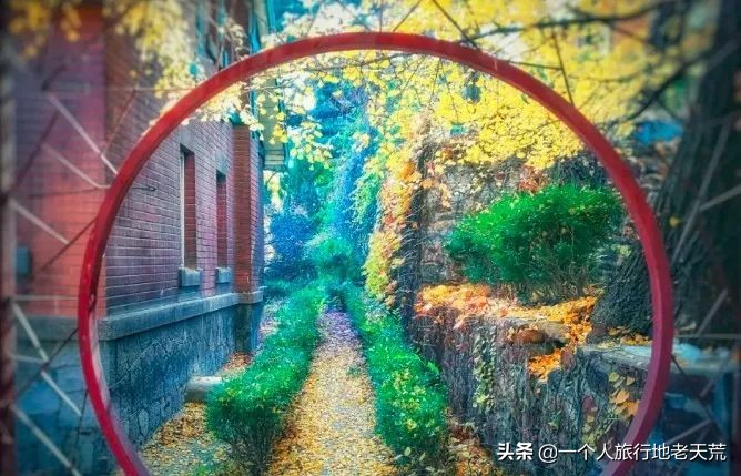 厦门海滨老城旅游,厦门最美海滨城