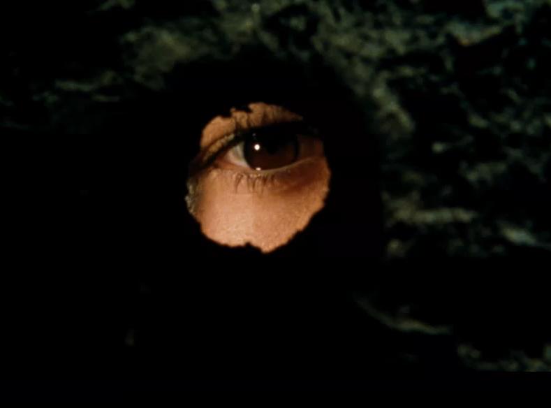 那个冲不破桎梏的男孩，哪里也逃不掉，评《西西里的美丽传说》