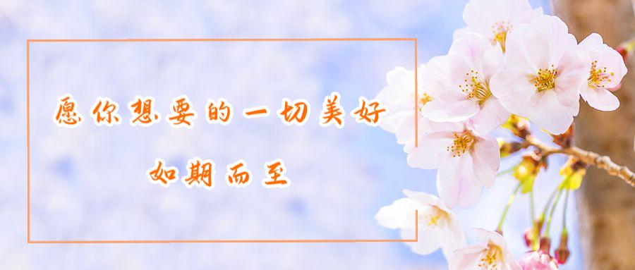 靠写作赚钱全攻略,写作赚钱的思路和方法