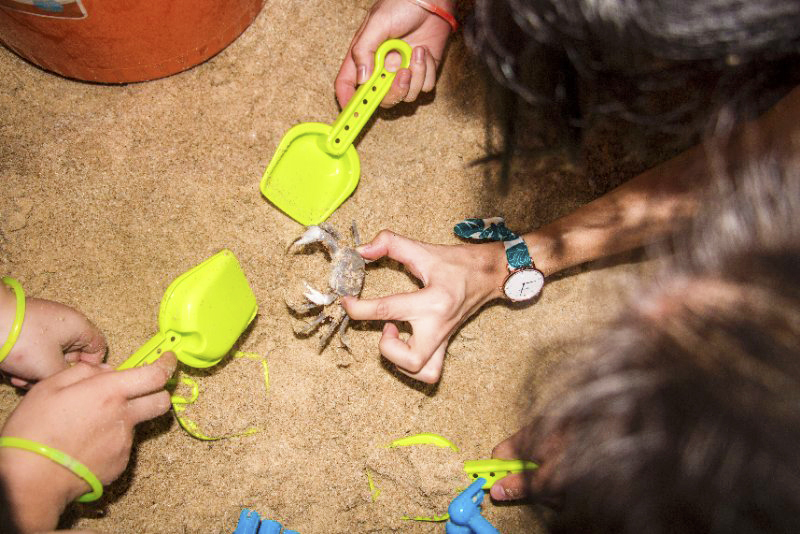 三亚亚龙湾奢华度假酒店,三亚亚龙湾性价比最高亲子酒店