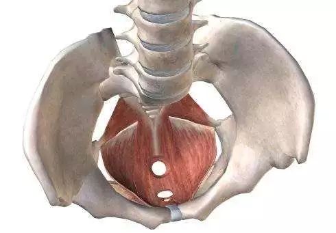 产后盆底肌松弛怎么办？医生分享：孕期产后都可做的盆底肌训练