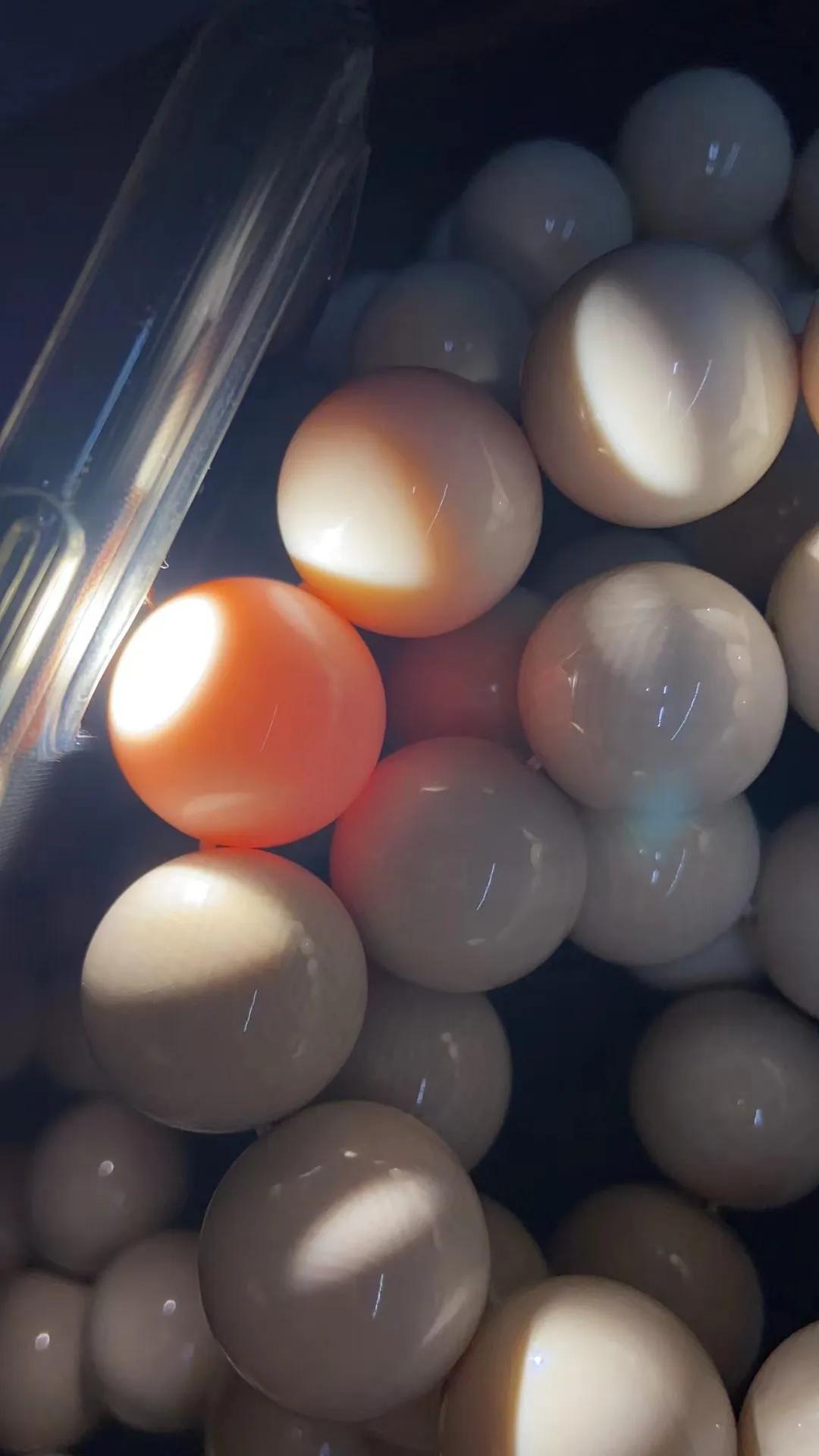 猛犸象牙的正确玩法,猛犸象牙保养后效果图