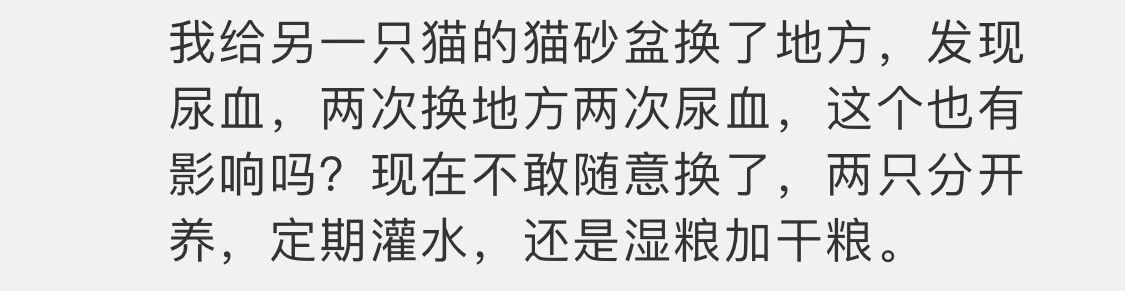 猫咪可以缓解焦虑抑郁吗,猫也会焦虑型留恋吗