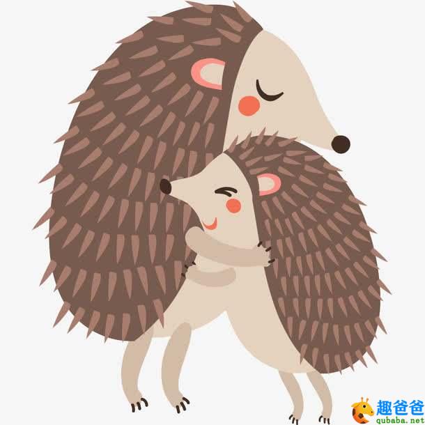 两只刺猬怎样拥抱才不会被扎,小刺猬的拥抱图片