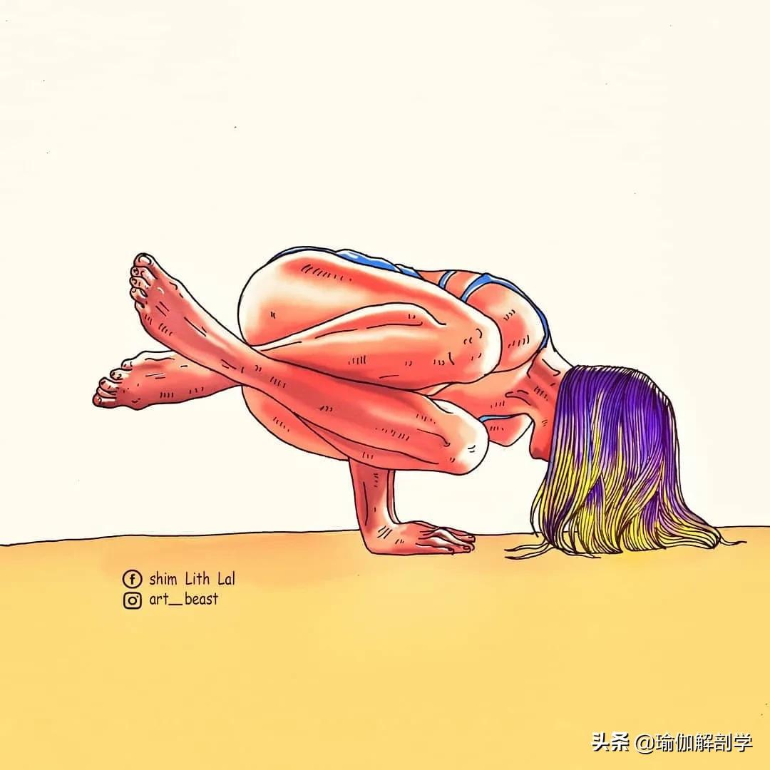 说起“凡尔赛”，谁都比不过瑜伽人