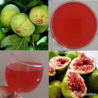 唐三镜真全粮张思漫：果酒技术-无花果酒的酿制方法及功效