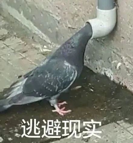 泳池里有“小蝌蚪”，女生游泳会怀孕吗？