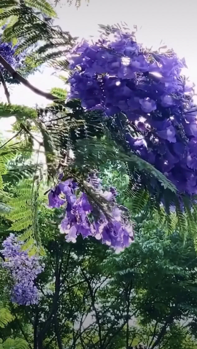 公公吵架骂儿媳妇怎么办,小两口吵架公公应怎样安慰儿媳妇