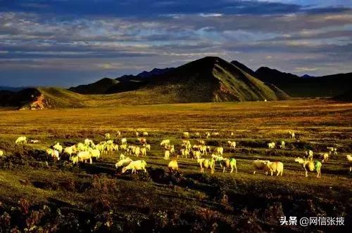张掖三大公园,张掖最值得去的三个景区