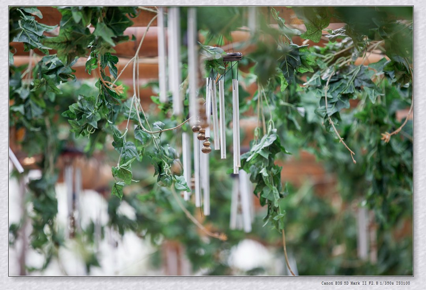 常州旅游东方盐湖城,骆驼之旅视频