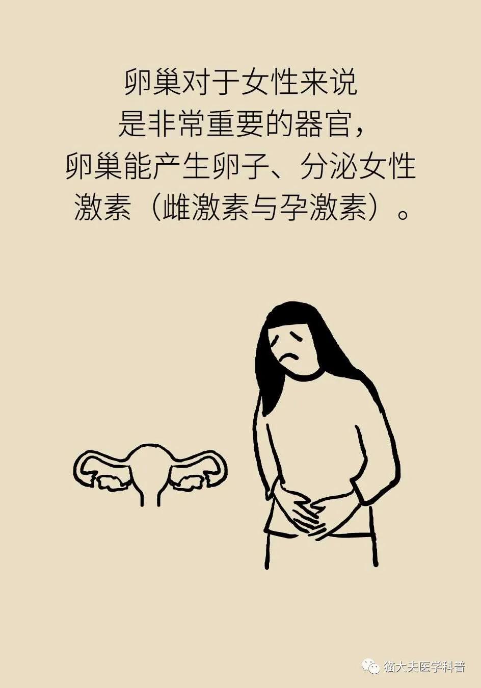 30岁例假就两月一次怎么办,30岁例假就特别少原因