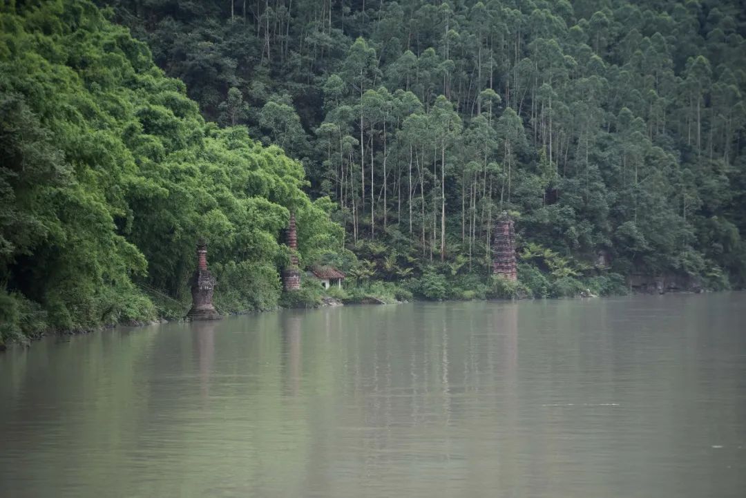 要想身体好常往洪雅跑标语,想身体好常往洪雅跑