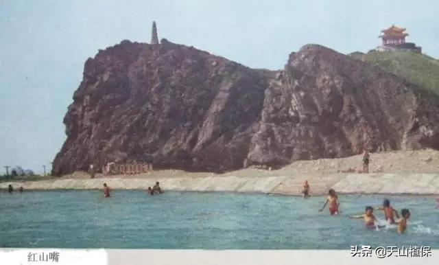 乌鲁木齐的五桥是哪五桥，都在哪儿？老乌鲁木齐人都不一定全知道